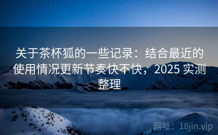 关于茶杯狐的一些记录：结合最近的使用情况更新节奏快不快，2025 实测整理