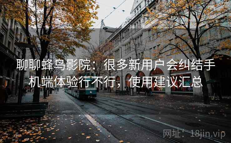 聊聊蜂鸟影院：很多新用户会纠结手机端体验行不行，使用建议汇总