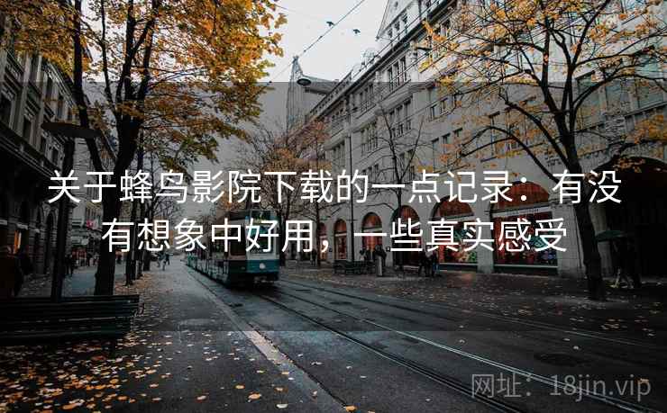 关于蜂鸟影院下载的一点记录：有没有想象中好用，一些真实感受